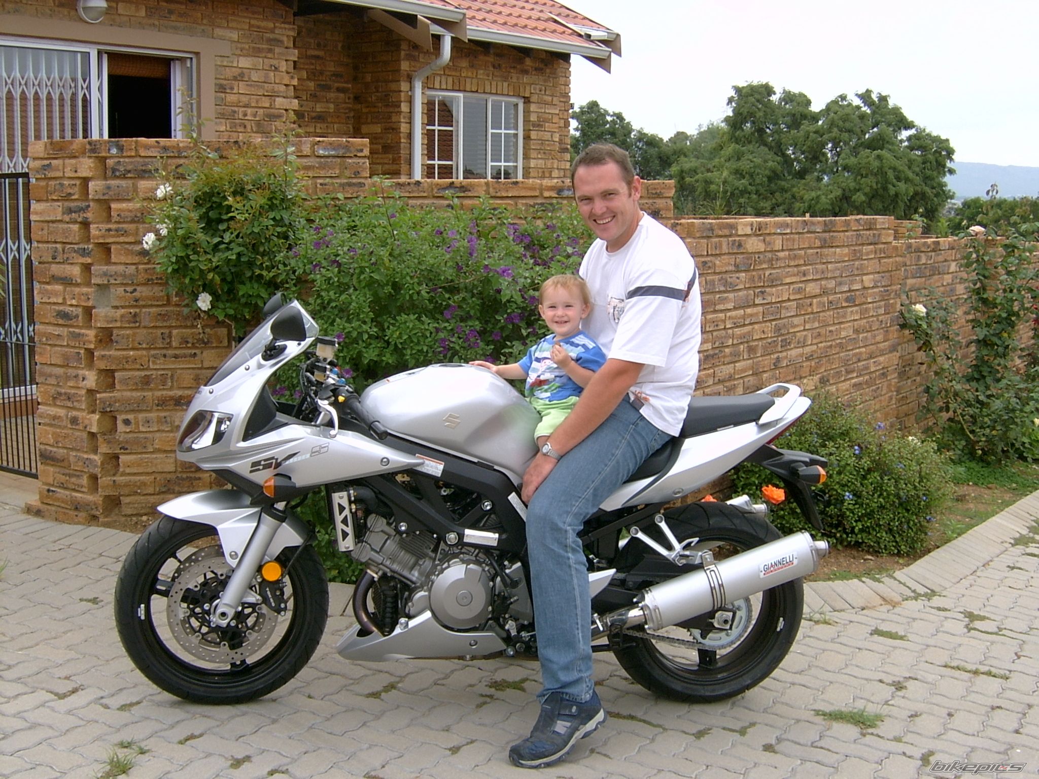 2006 SUZUKI SV 1000 S | Picture 615515 motorcycle photo