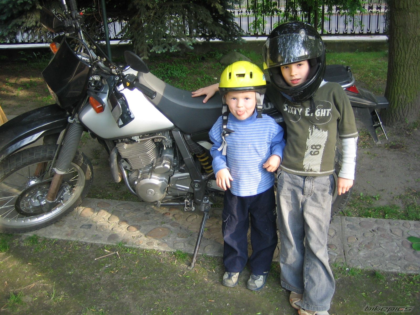 2006 SUZUKI DR 650 | Picture 615786 motorcycle photo