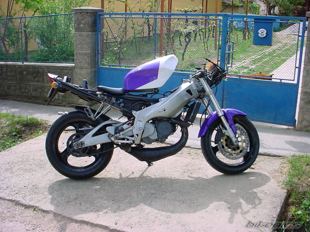 1994 APRILIA RS 125 | Picture 61589 motorcycle photo