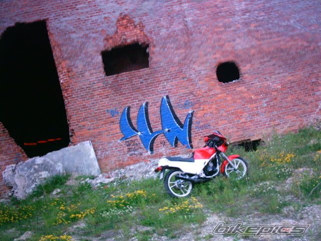 1990 SUZUKI RG 80 | Picture 616105 motorcycle photo