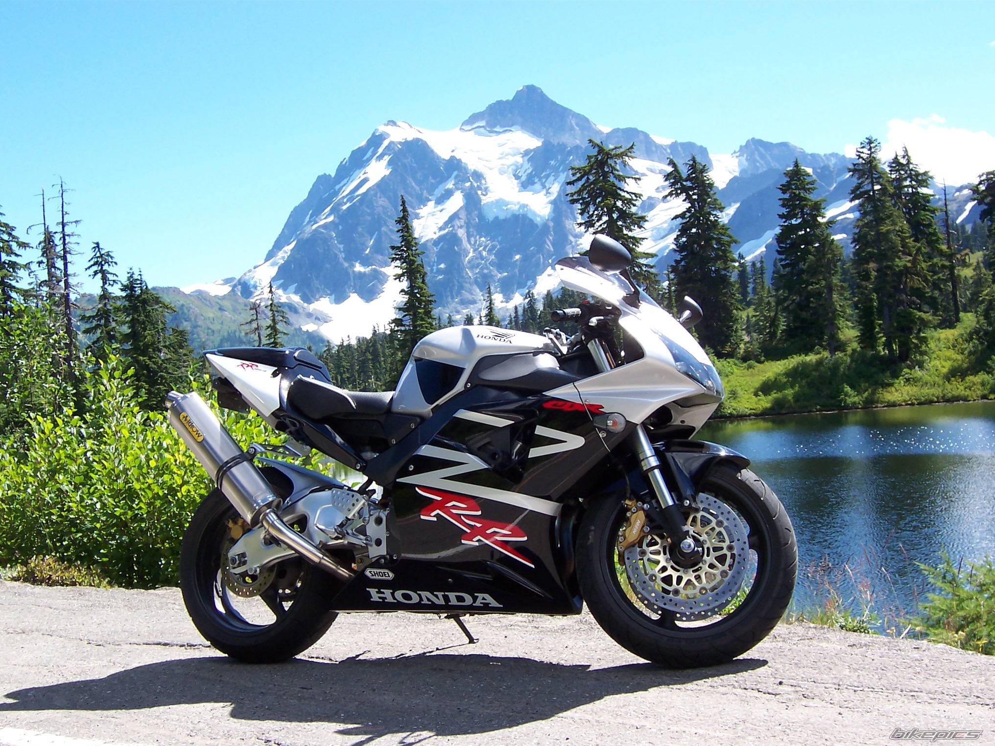 2002 HONDA CBR 900 | Picture 61611 motorcycle photo