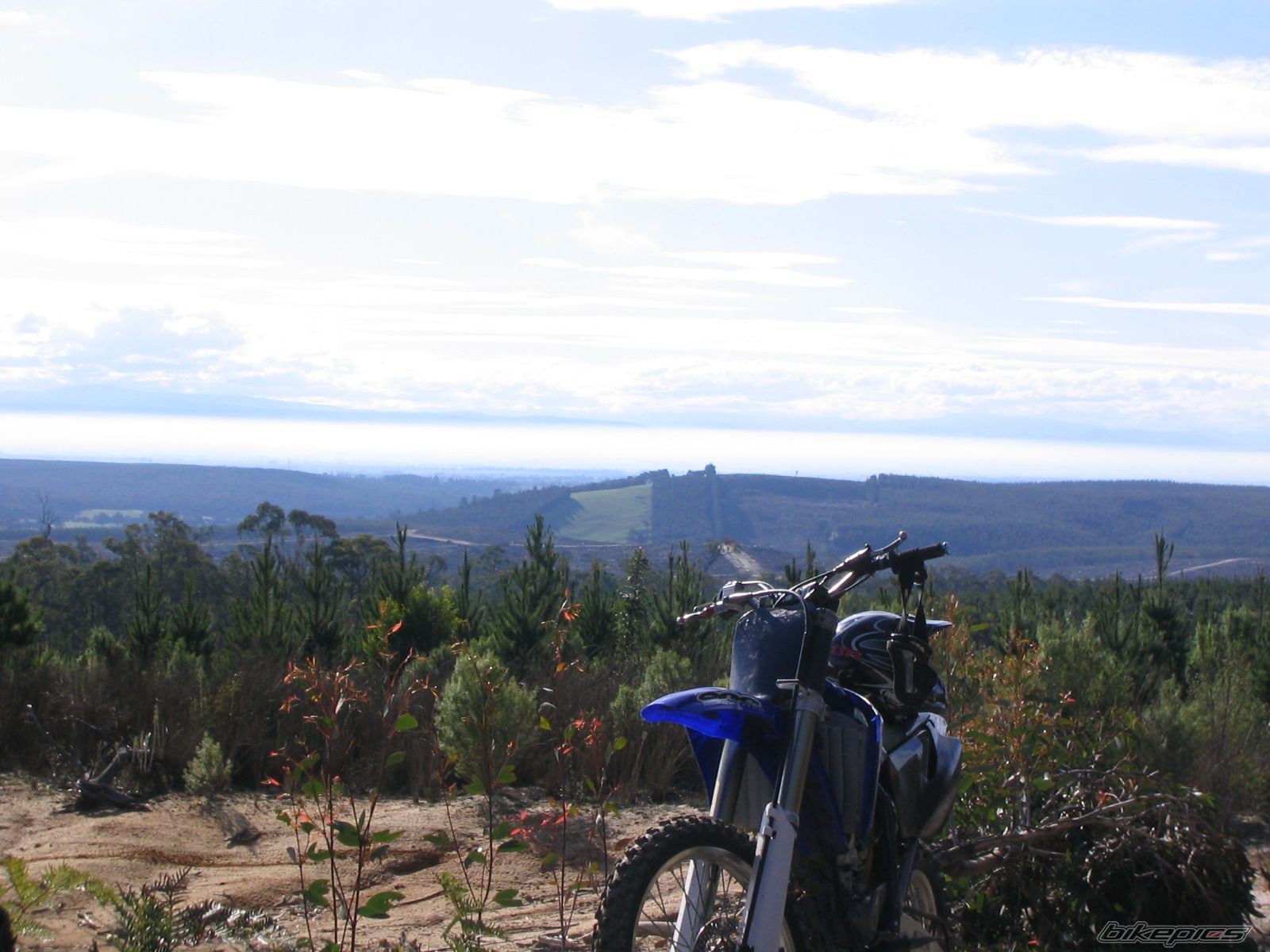 2004 YAMAHA YZ 250F | Picture 616319 motorcycle photo