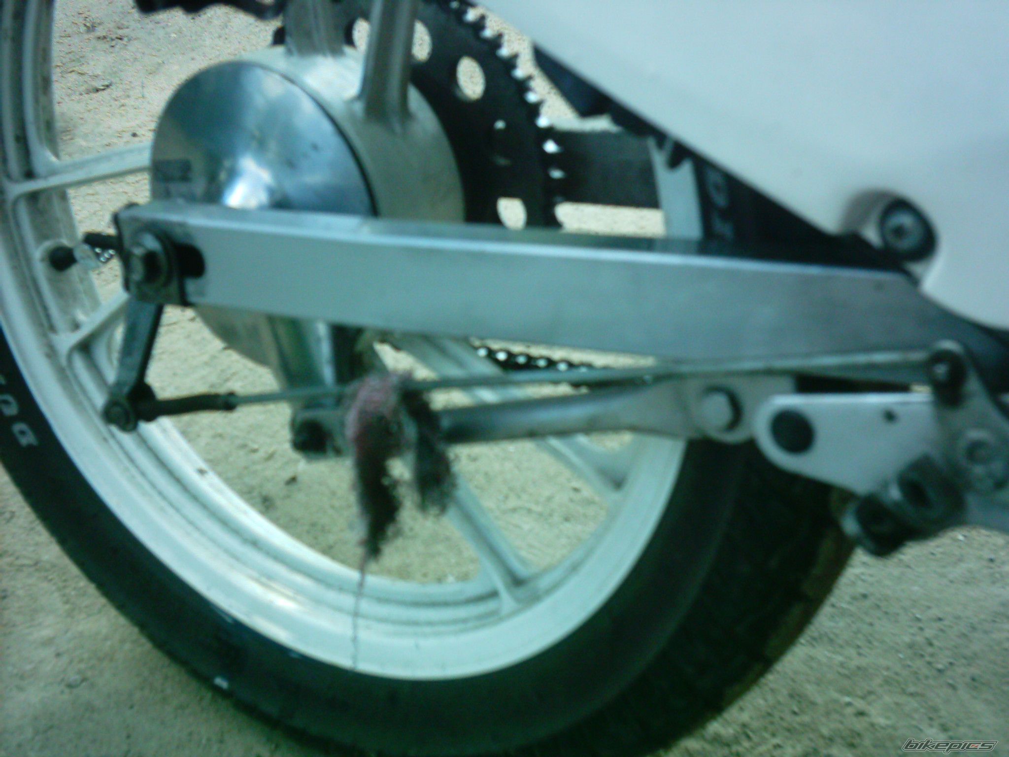 1990 SUZUKI RG 80 | Picture 616516 motorcycle photo
