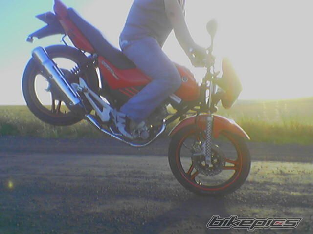 2005 YAMAHA YBR 125 | Picture 617239 motorcycle photo