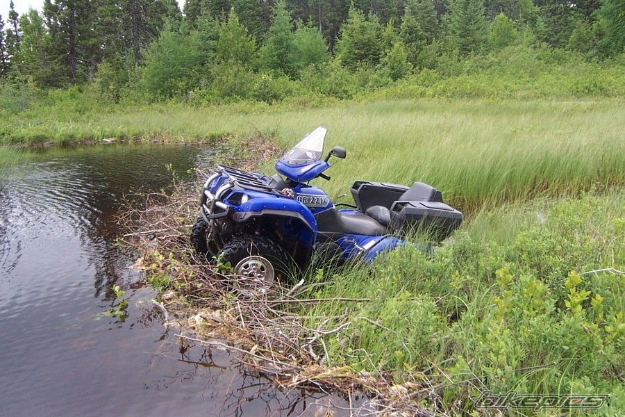2003 YAMAHA GRIZZLY | Picture 617337 motorcycle photo