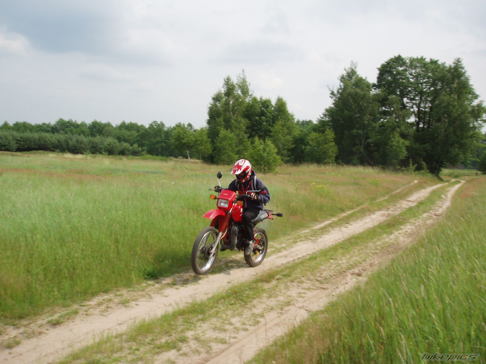 1995 YAMAHA DT 80 | Picture 617436 motorcycle photo