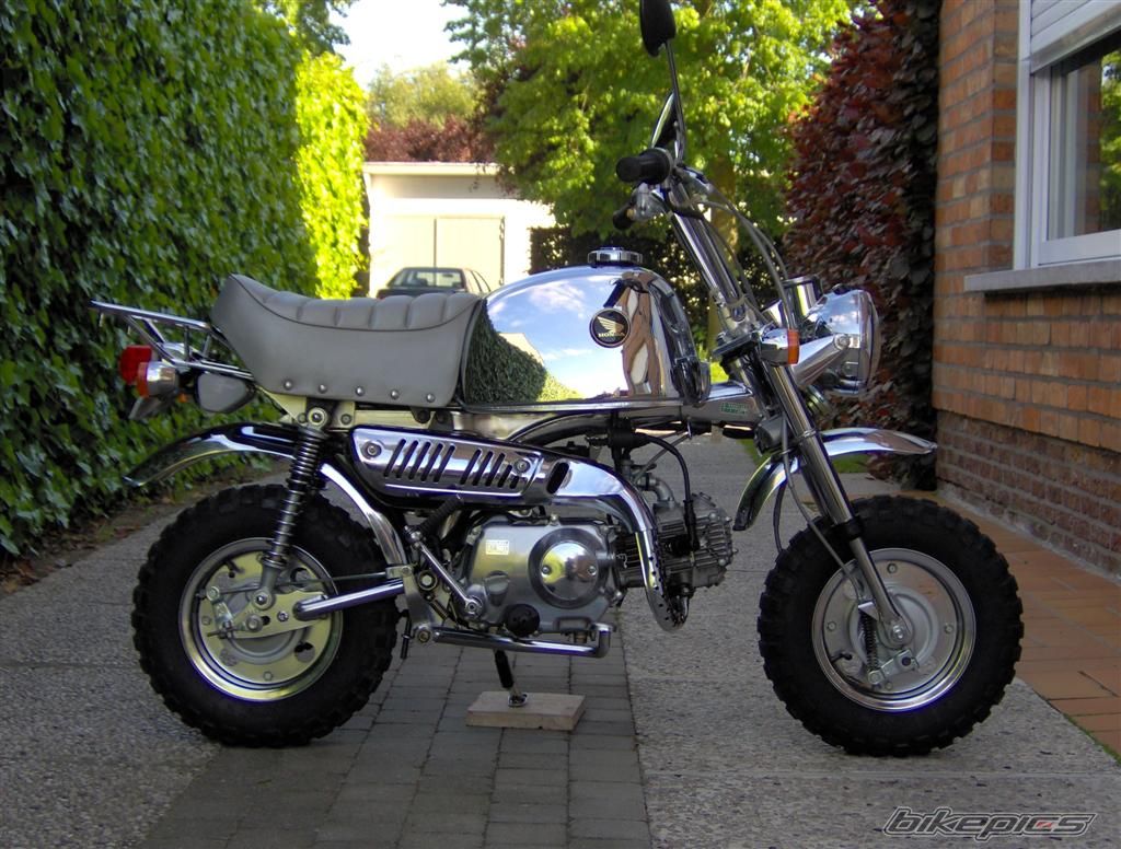1999 HONDA GORILLA 50 | Picture 617634 motorcycle photo