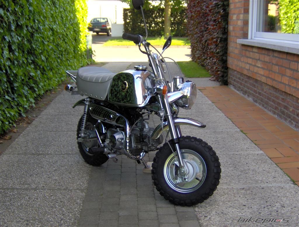 1999 HONDA GORILLA 50 | Picture 617636 motorcycle photo
