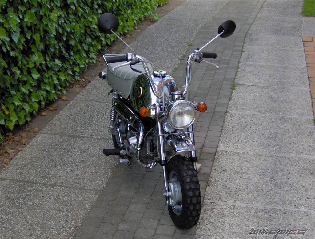 1999 HONDA GORILLA 50 | Picture 617637 motorcycle photo