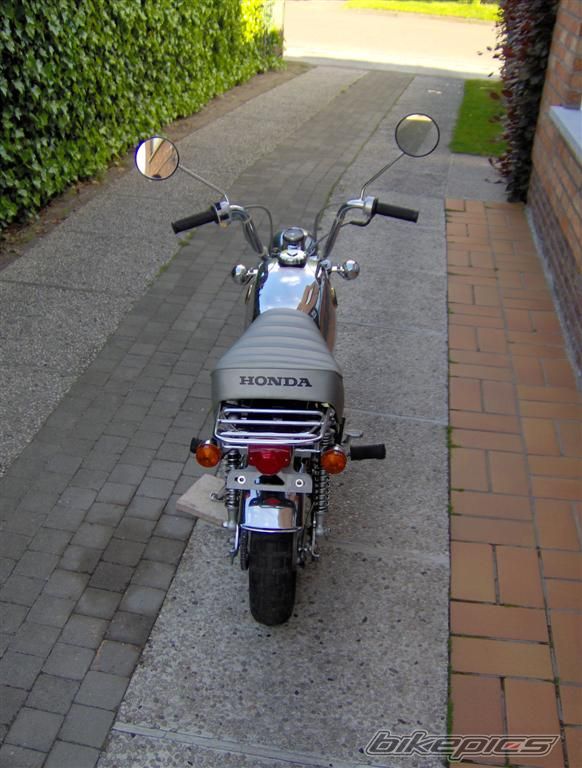 1999 HONDA GORILLA 50 | Picture 617642 motorcycle photo