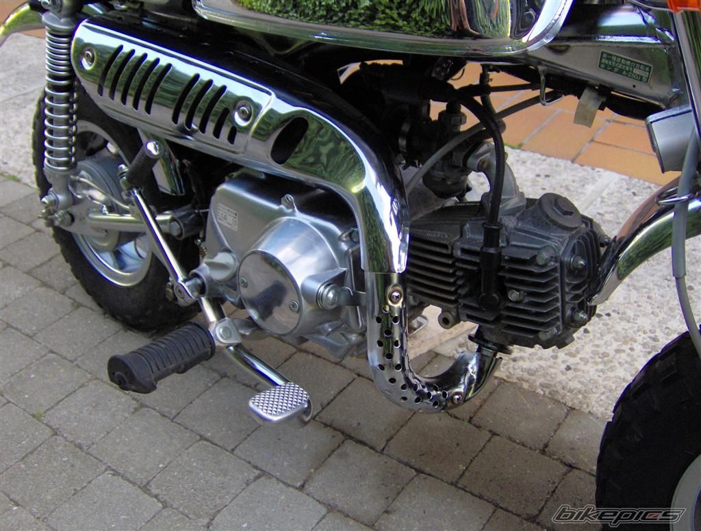 1999 HONDA GORILLA 50 | Picture 617647 motorcycle photo