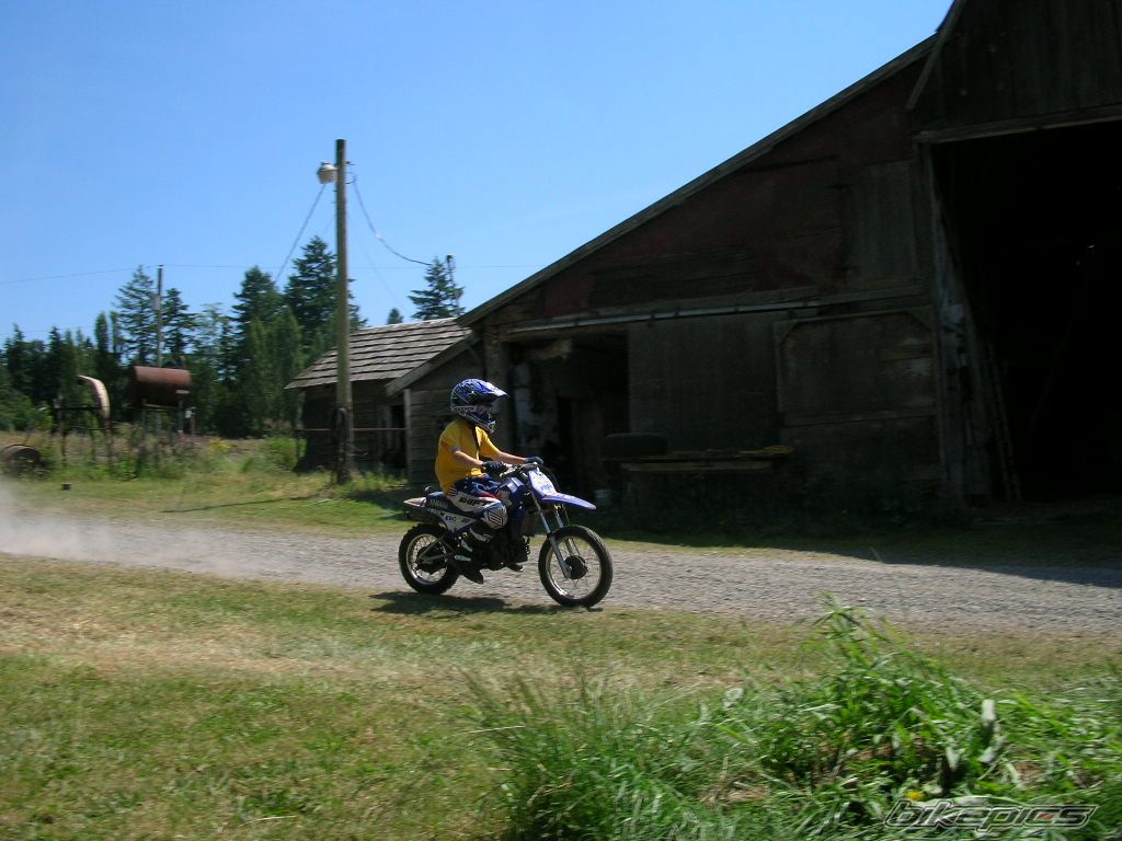 2001 YAMAHA PW 80 | Picture 617825 motorcycle photo