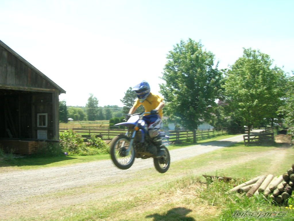 2001 YAMAHA PW 80 | Picture 617827 motorcycle photo