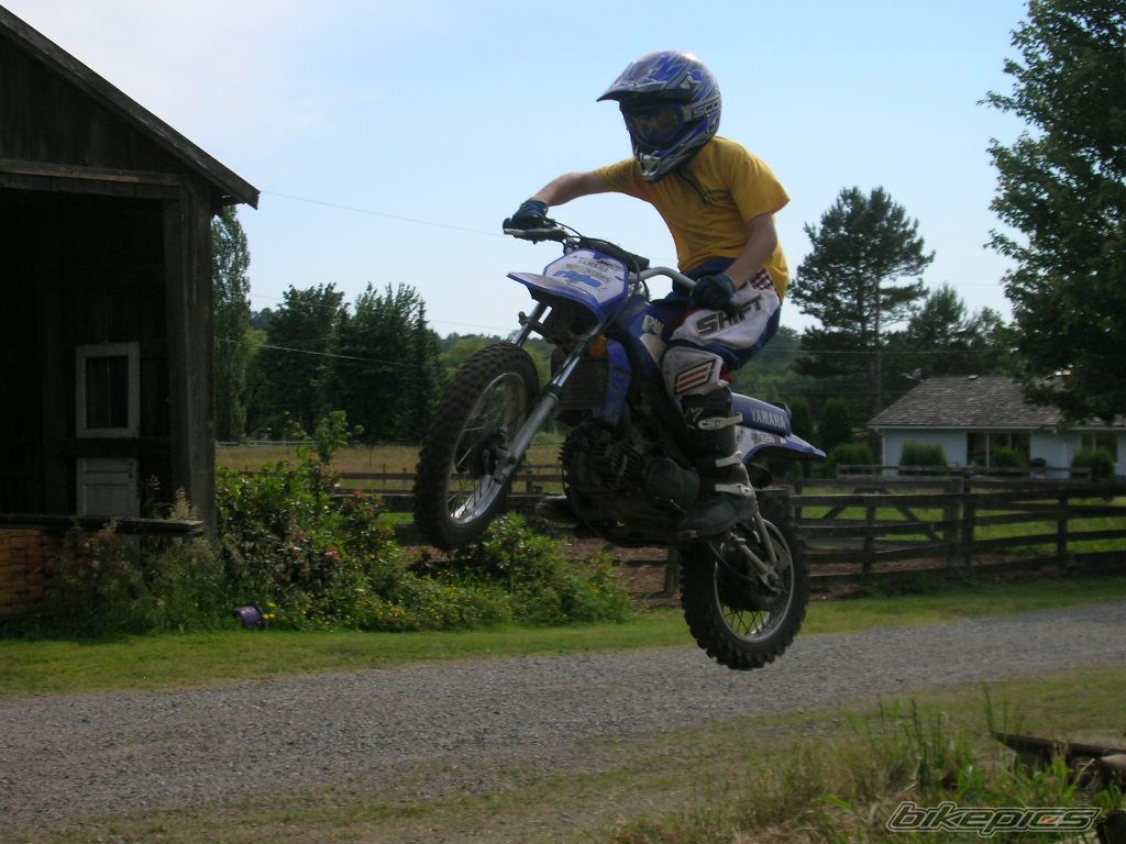 2001 YAMAHA PW 80 | Picture 617829 motorcycle photo