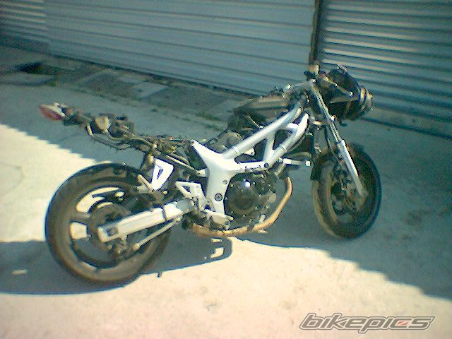 2000 SUZUKI SV 650S | Picture 618267 motorcycle photo