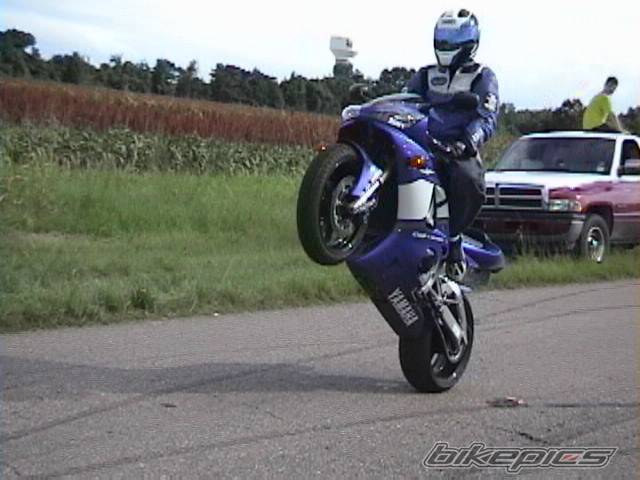 2001 YAMAHA YZF R1 | Picture 6186 motorcycle photo
