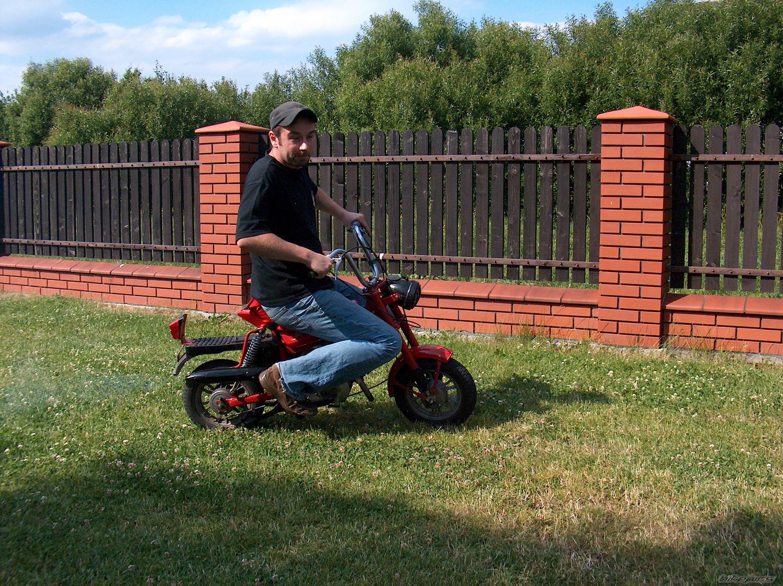 1988 ROMET PONY 50 | Picture 618741 motorcycle photo