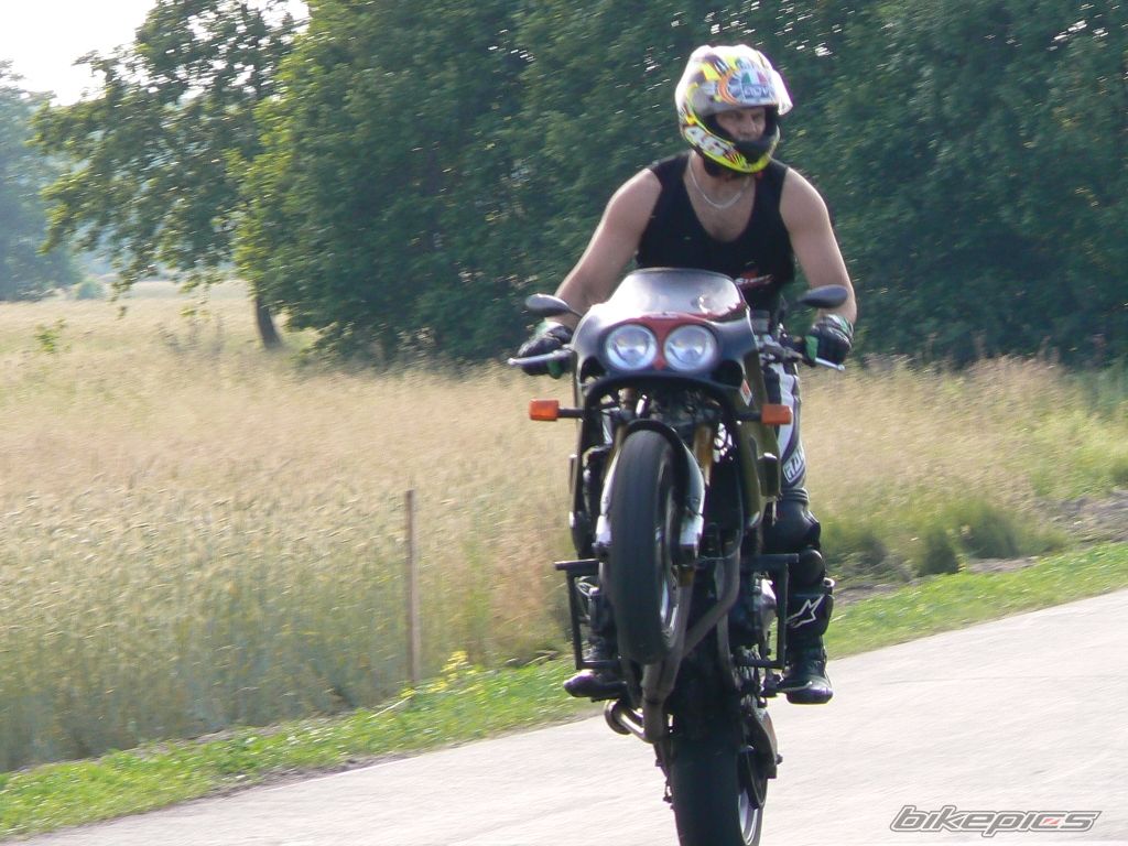 1992 SUZUKI GSX R 1100 | Picture 618758 motorcycle photo