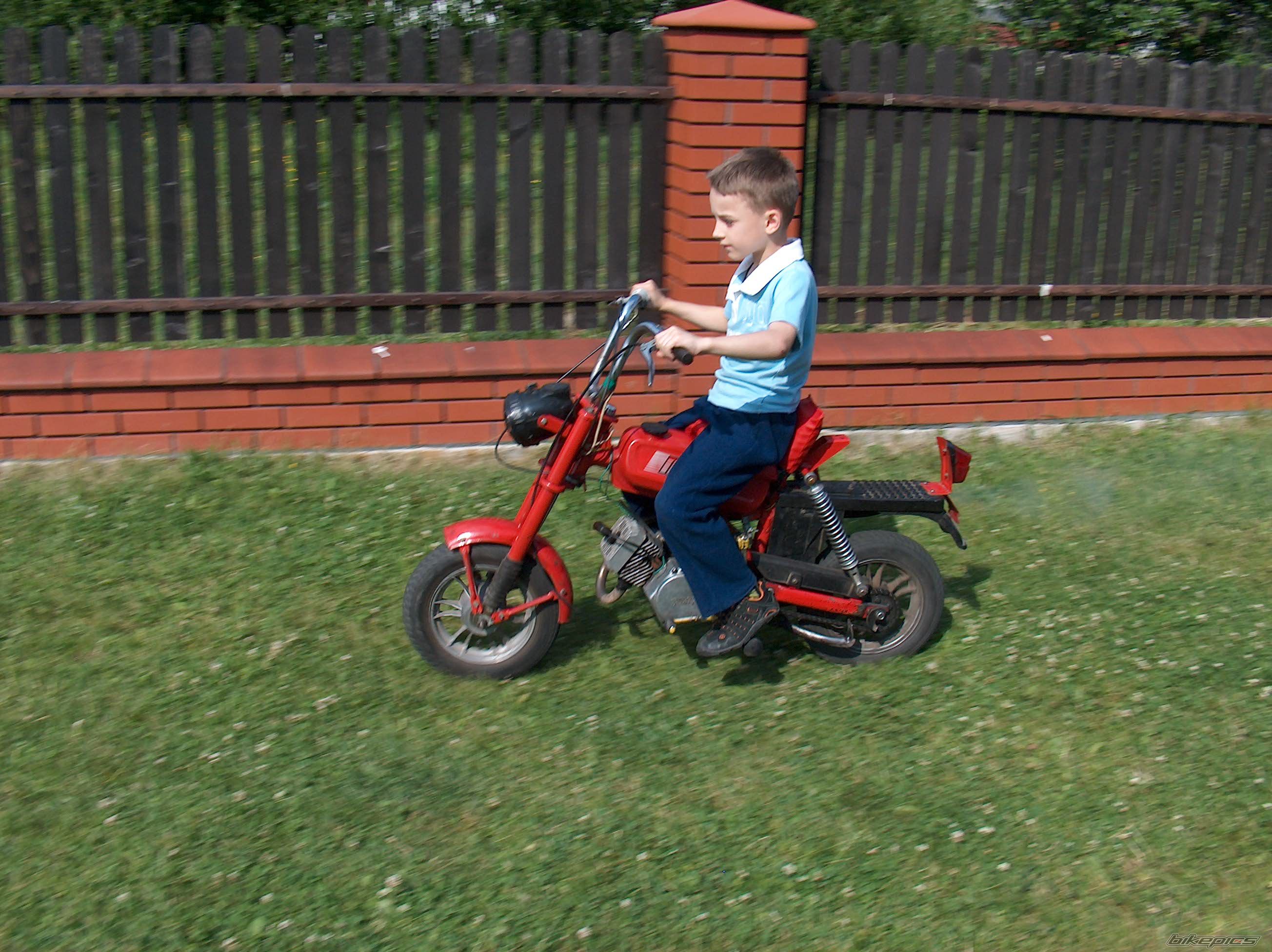 1988 ROMET PONY 50 | Picture 618759 motorcycle photo