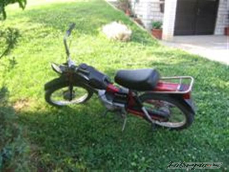 1982 TOMOS APN 6 | Picture 618967 motorcycle photo
