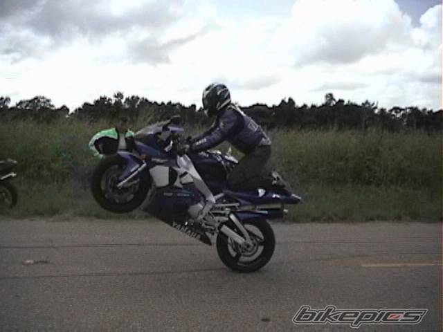 2001 YAMAHA YZF R1 | Picture 6190 motorcycle photo