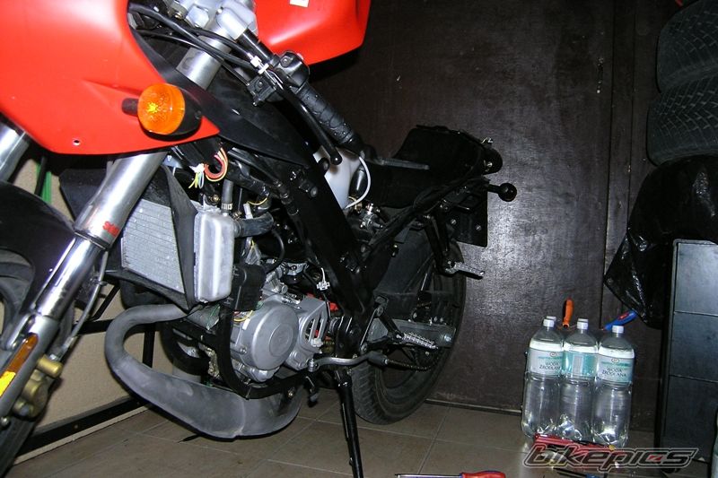2004 DERBI GPR 50 REPLICA | Picture 619048 motorcycle photo