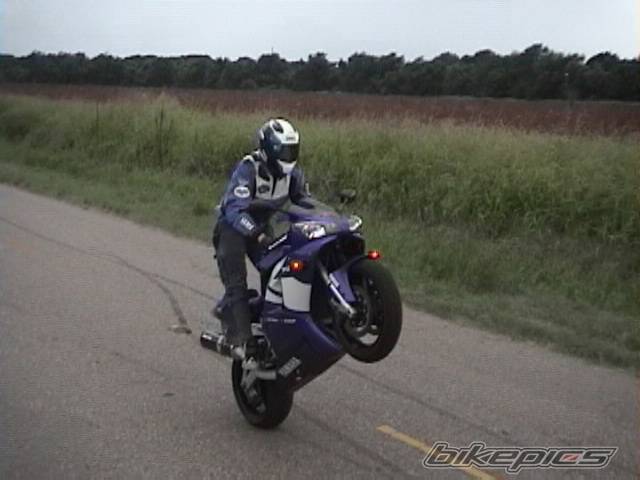 2001 YAMAHA YZF R1 | Picture 6192 motorcycle photo