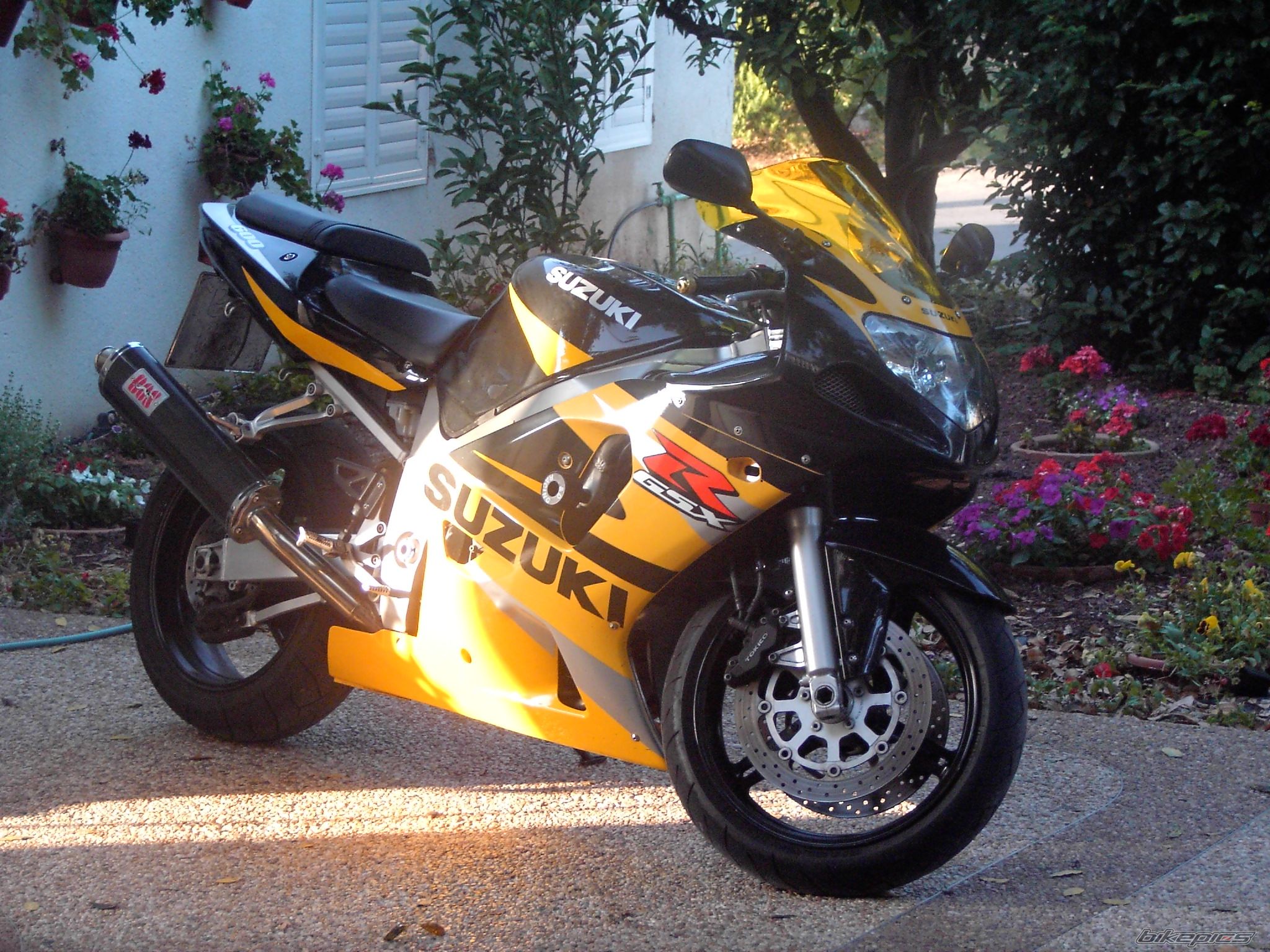 2004 SUZUKI GSX R 600 | Picture 619701 motorcycle photo