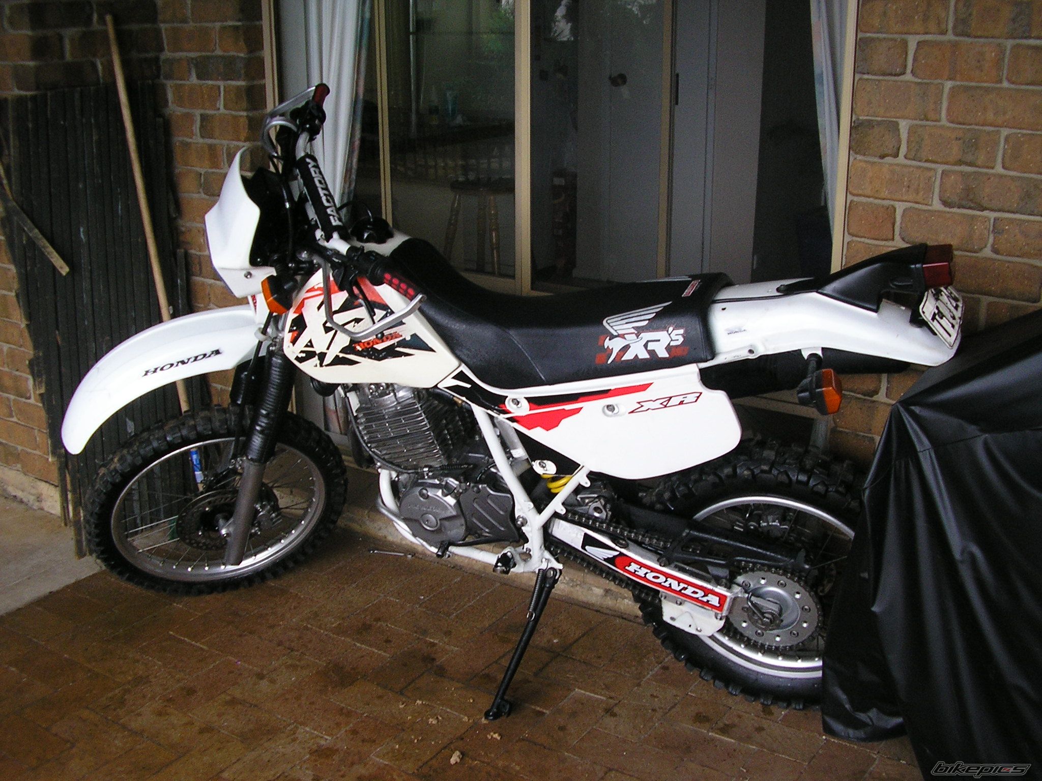 1997 HONDA XR 600 | Picture 620023 motorcycle photo