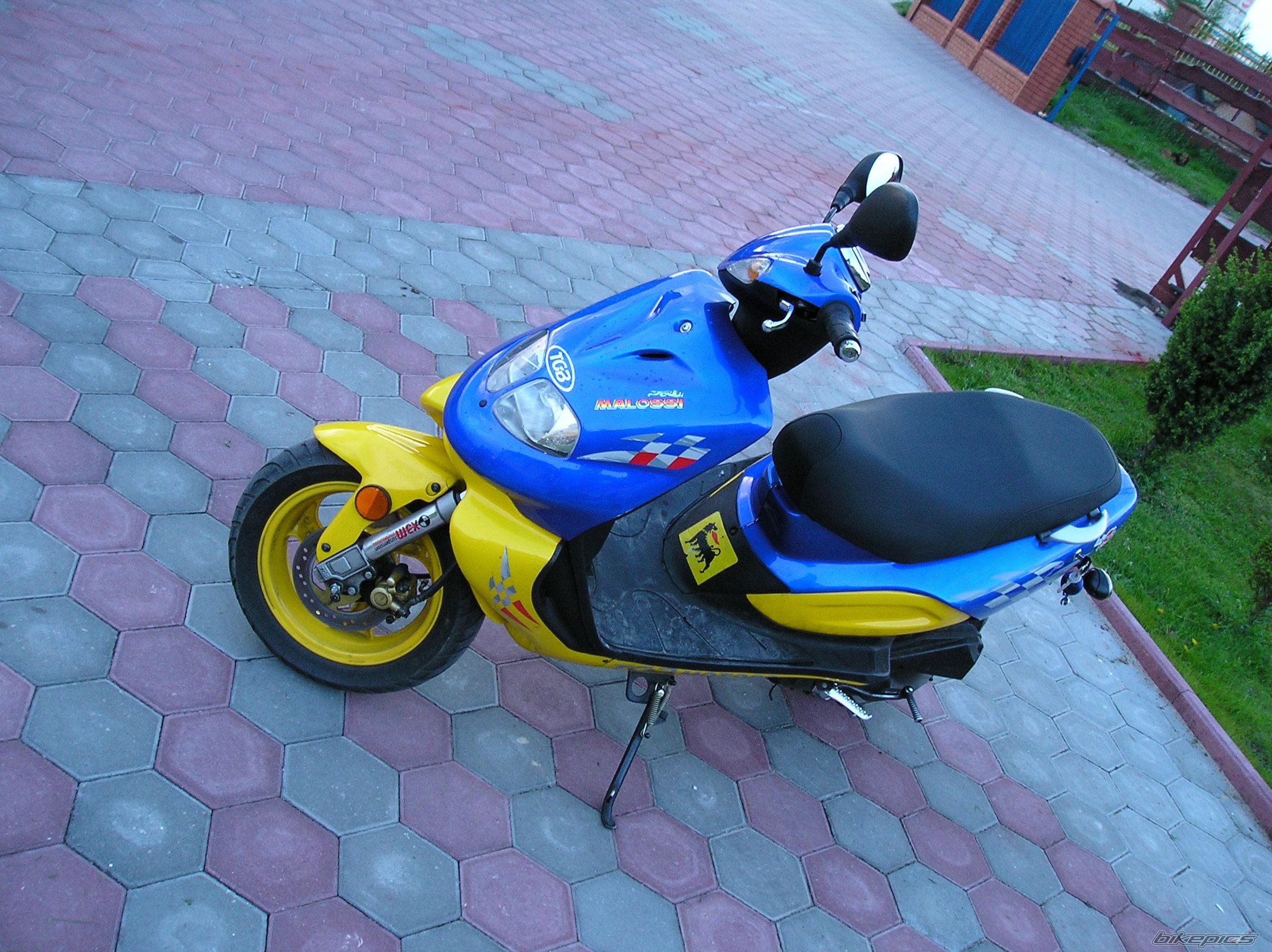 2003 TGB 303 RS | Picture 620590 motorcycle photo