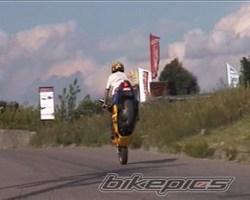 2003 TGB 303 RS | Picture 620593 motorcycle photo
