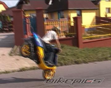2003 TGB 303 RS | Picture 620595 motorcycle photo