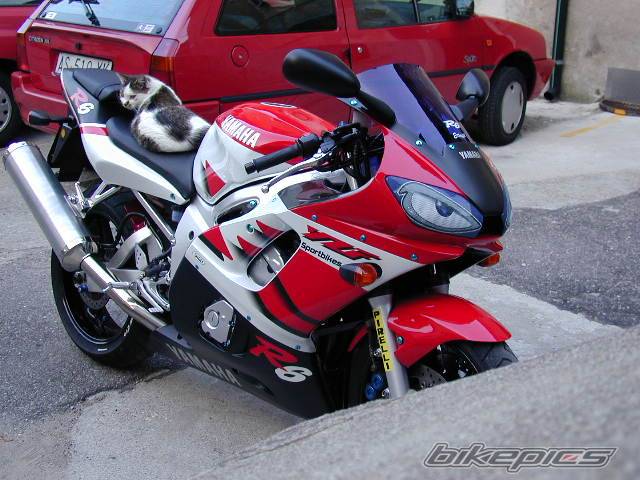 1999 YAMAHA YZF R6 | Picture 6206 motorcycle photo