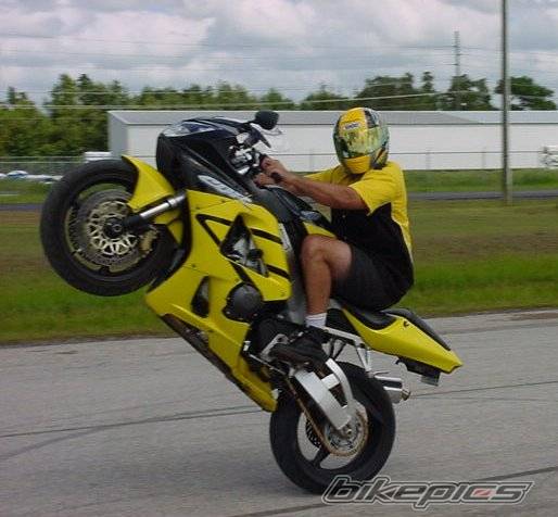 2001 HONDA CBR 900 | Picture 62079 motorcycle photo