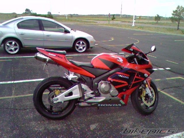 2003 HONDA CBR 600 | Picture 620815 motorcycle photo