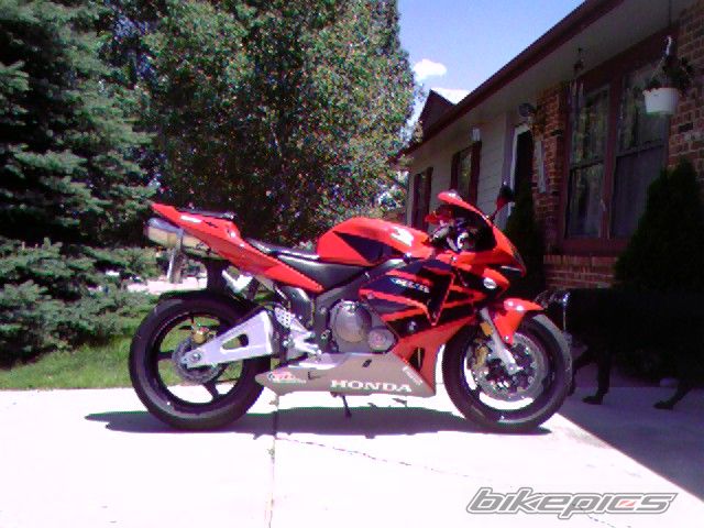 2003 HONDA CBR 600 | Picture 620817 motorcycle photo