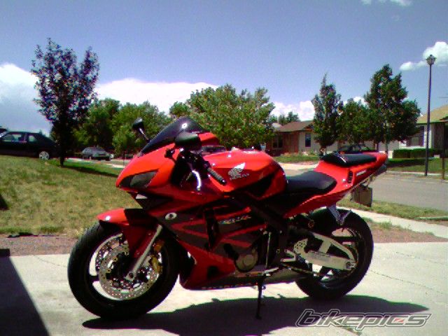 2003 HONDA CBR 600 | Picture 620820 motorcycle photo