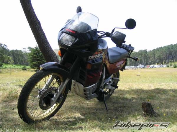 1994 HONDA XL 600V TRANSALP | Picture 621529 motorcycle photo