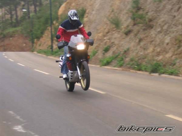 1994 HONDA XL 600V TRANSALP | Picture 621546 motorcycle photo