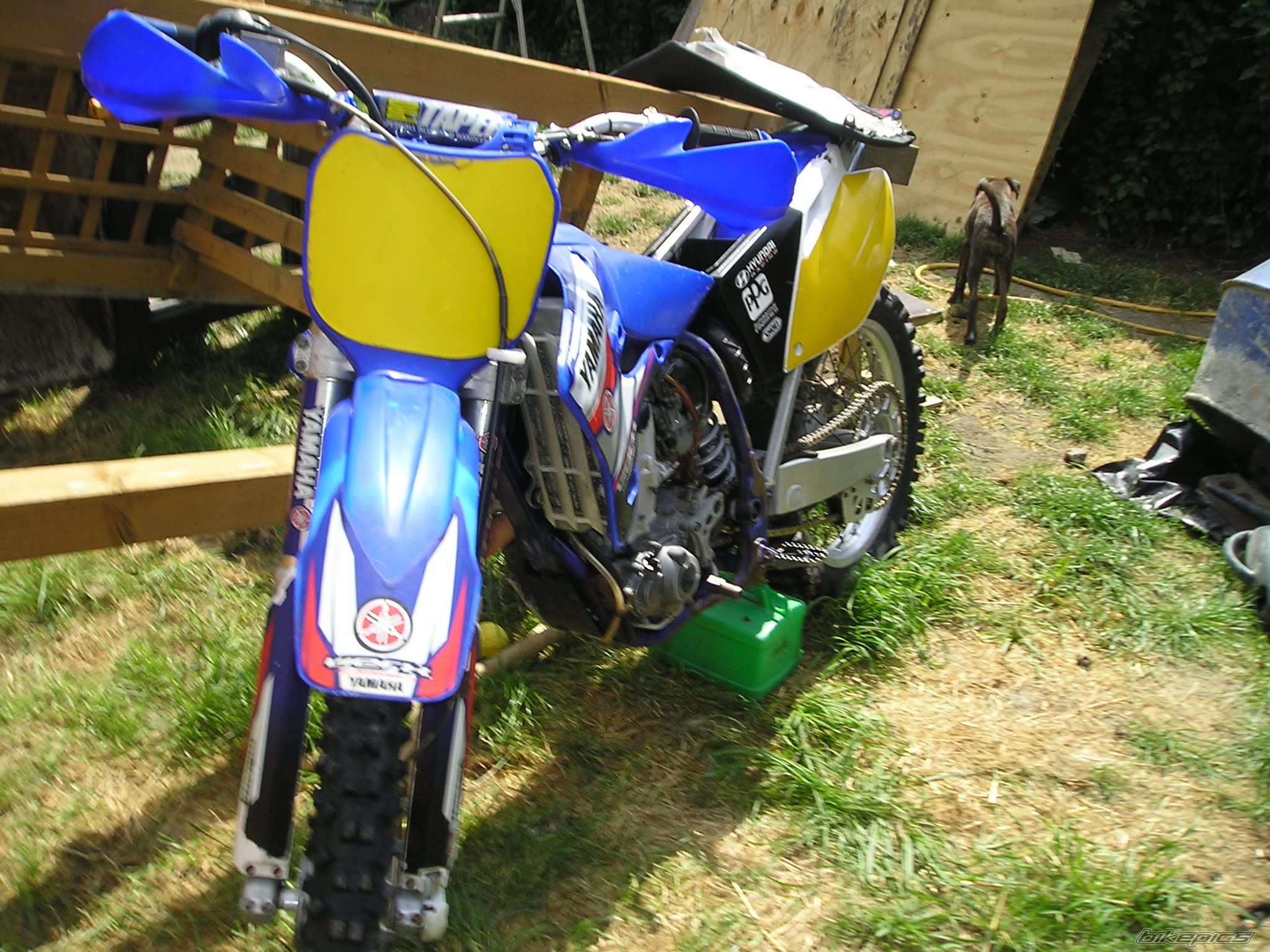 2003 YAMAHA RAPTOR YFZ 450 | Picture 621602 motorcycle photo