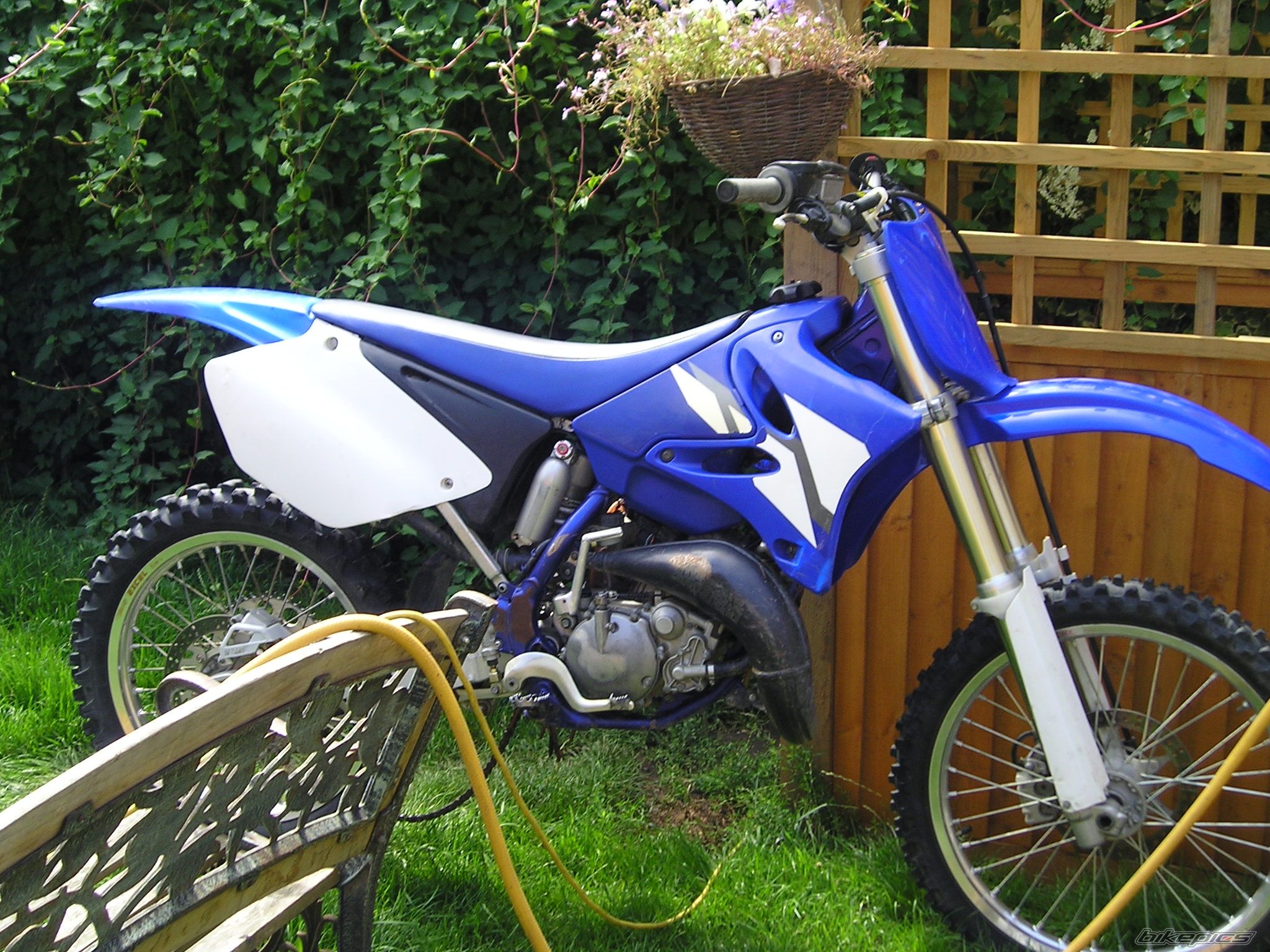 2002 YAMAHA YZ 125 | Picture 621638 motorcycle photo