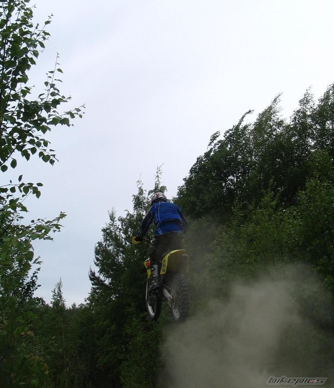 2004 SUZUKI RM 250 | Picture 621795 motorcycle photo
