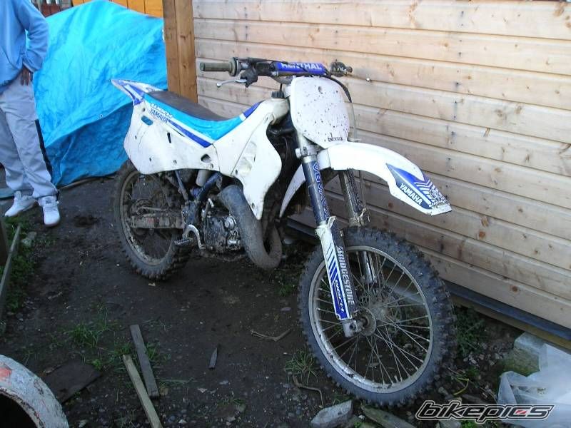 1995 YAMAHA YZ 125 | Picture 621800 motorcycle photo