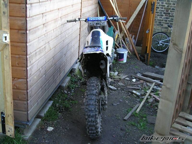 1995 YAMAHA YZ 125 | Picture 621802 motorcycle photo