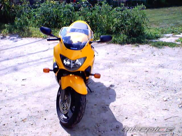 2000 HONDA CBR 600 | Picture 6219 motorcycle photo