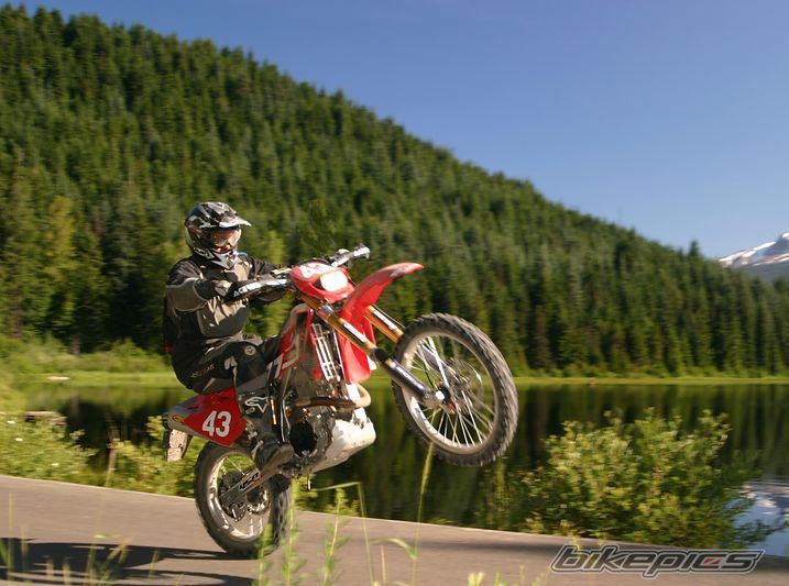 2003 GAS GAS FSE 450 | Picture 621987 motorcycle photo