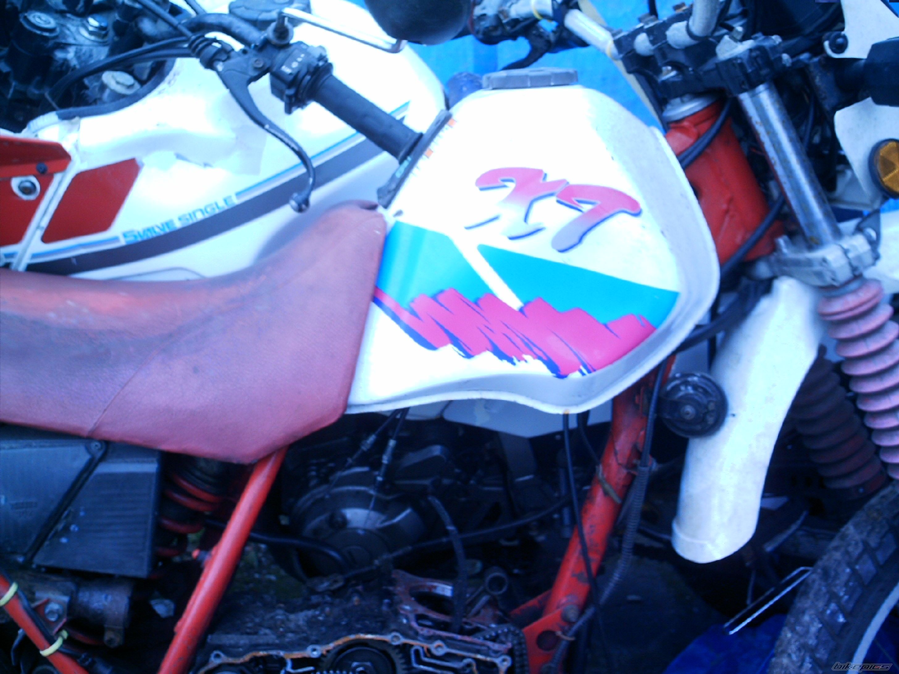 1983 YAMAHA XT 250 | Picture 622326 motorcycle photo