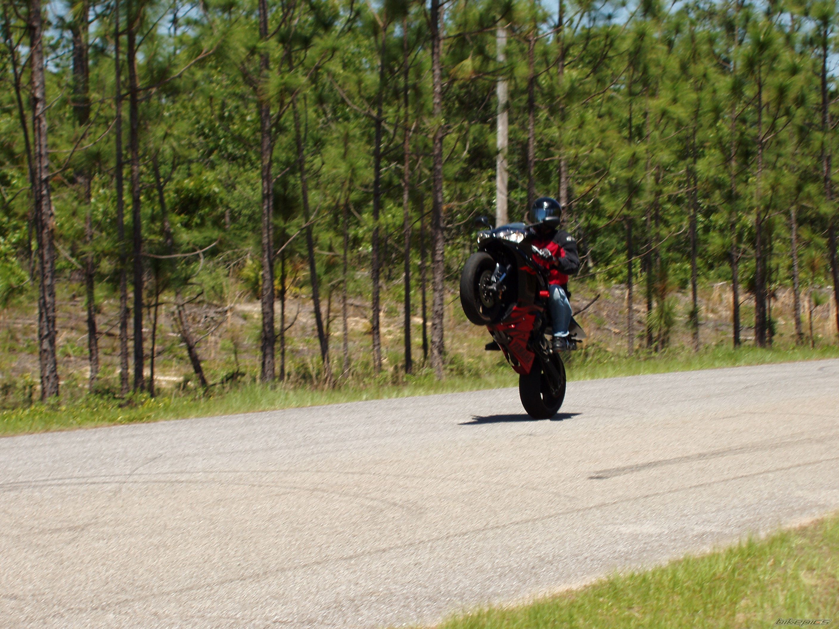 2003 YAMAHA YZF R1 | Picture 622384 motorcycle photo