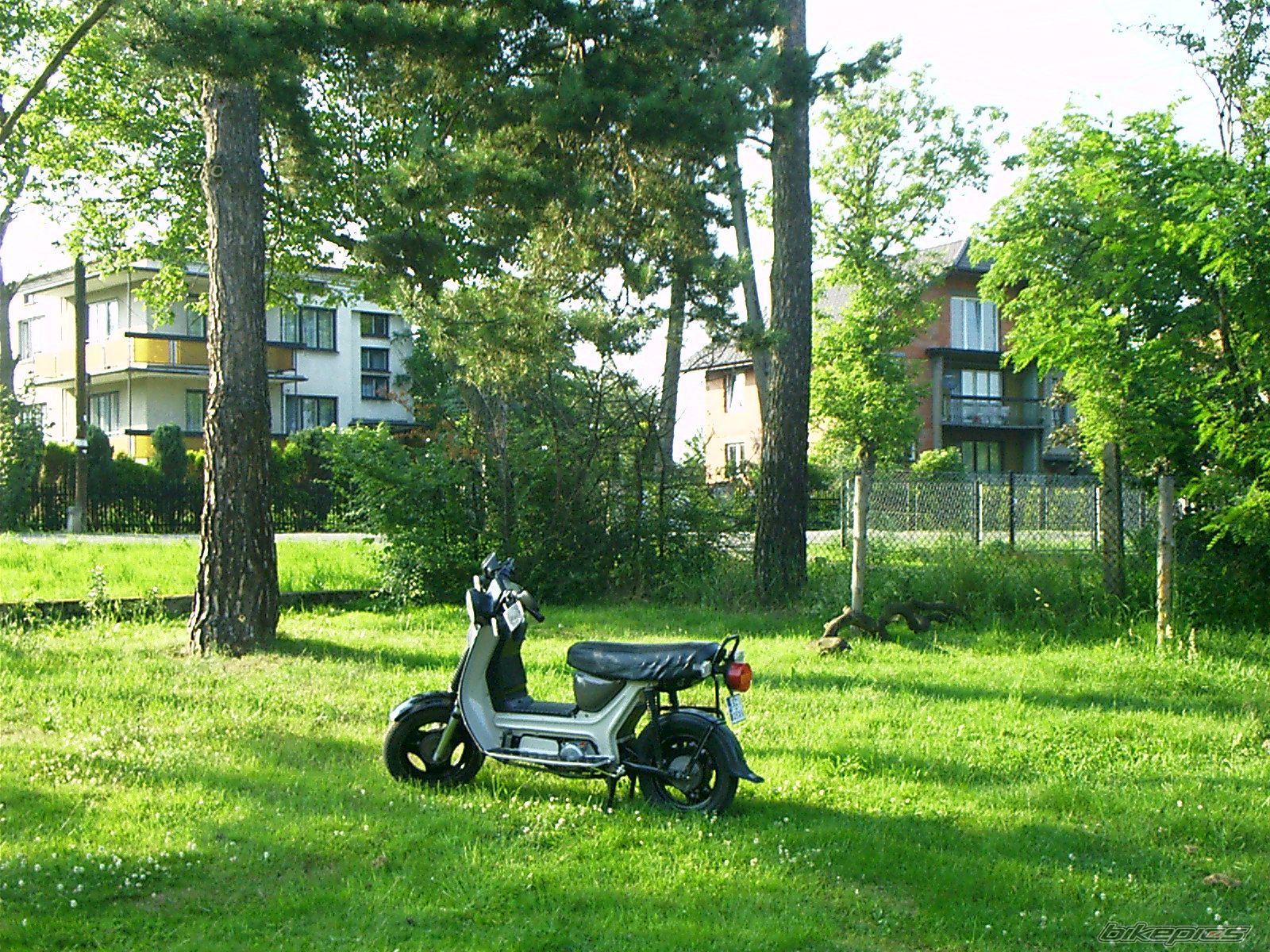 1988 SIMSON SR 50 | Picture 622473 motorcycle photo