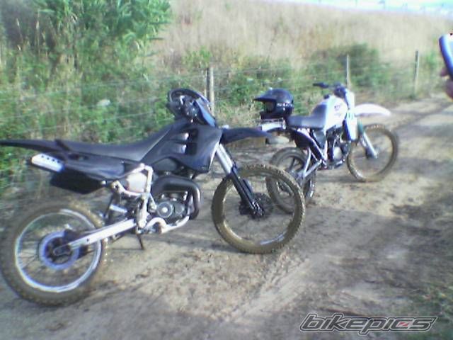1995 FANTIC CABALLERO 50 | Picture 622596 motorcycle photo